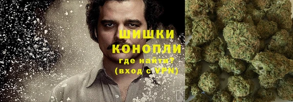 PSILOCYBIN Белоозёрский